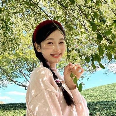 爱情与鸽子