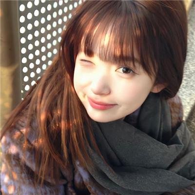 泰迪熊