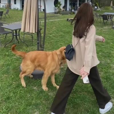 我的影子在奔跑